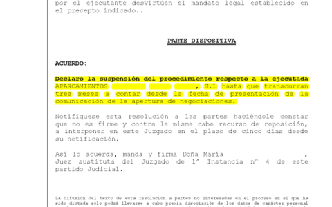 16-12-22.- AUTO notif el 19-12 se acuerda declarar la suspension del procedimiento hasta 3 meses desde la fecha de presentacion de la comunicacion