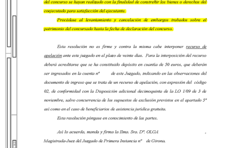 09-01-23.- AUTO notif el 17-01 se DISPONE SUSPENDER ejecucion dada la declaracion judicial de concurso. Se declaran nulas por imperativa legal las actuaciones y procesase al levantamiento